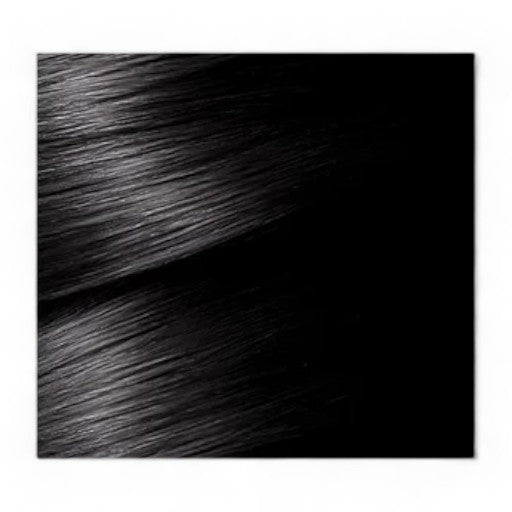 GARNIER Color Naturals No. 1 (Natural Black)