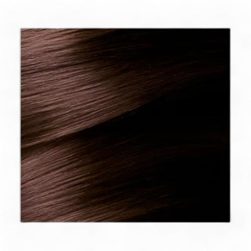 GARNIER Color Naturals No. 4.15 (Frosty Dark Mahogany)