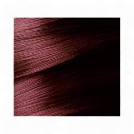 GARNIER Color Naturals No. 4.6 (Intense Dark Red)