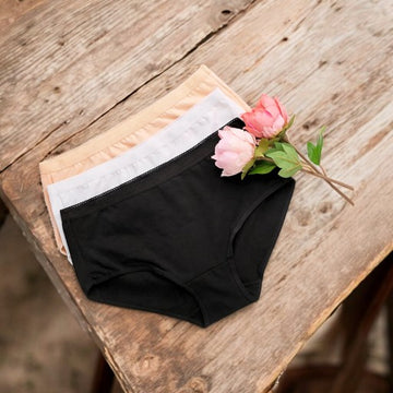 Petal's 079 Brief