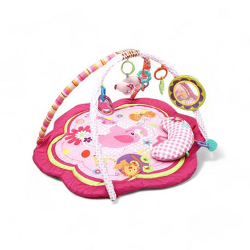 Tinnies Baby Play Gym Pink