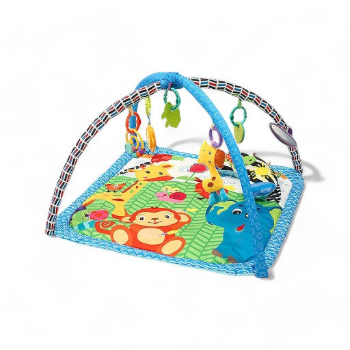 Tinnies Baby Play Gym T704